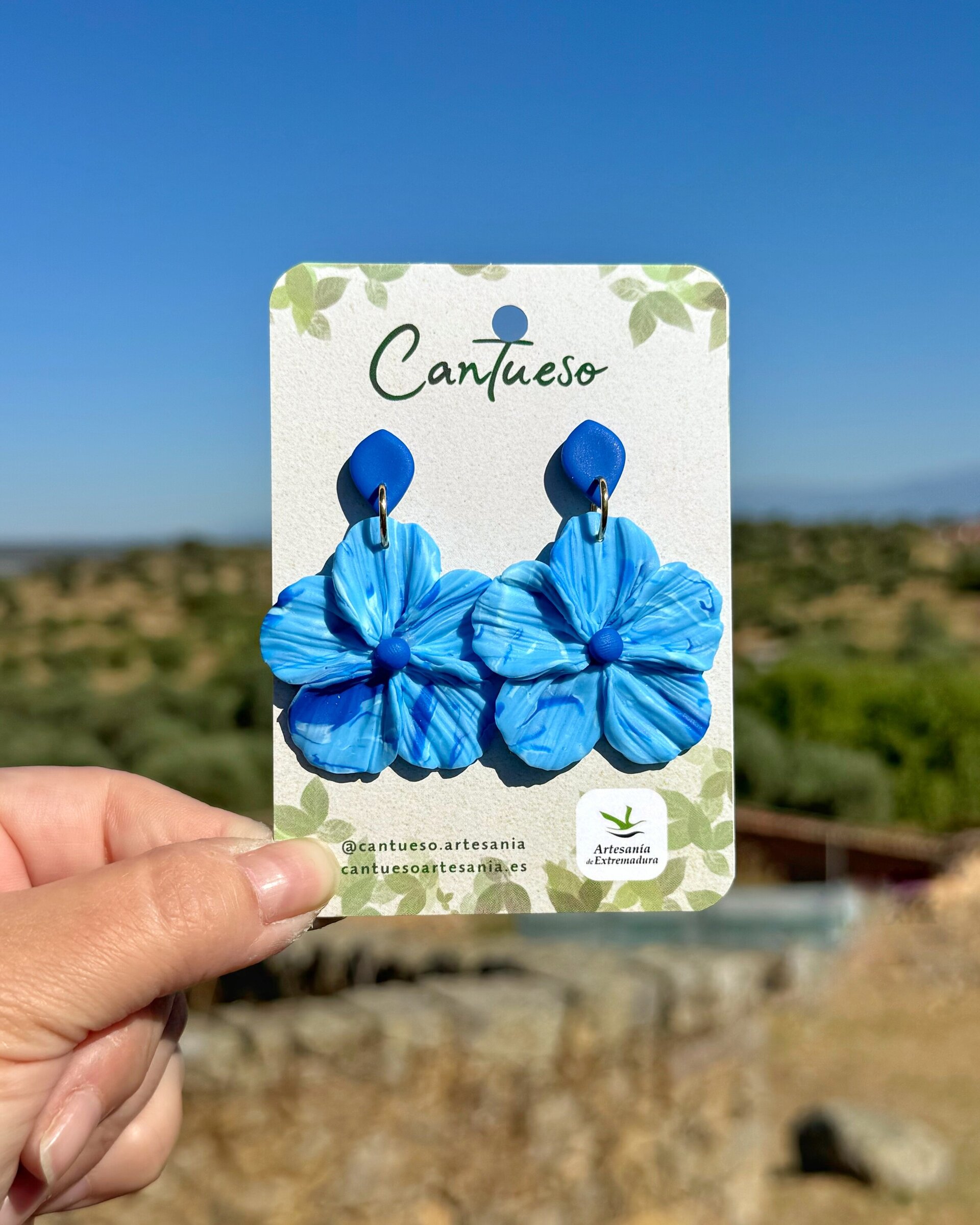 Pendientes Granadilla - 3