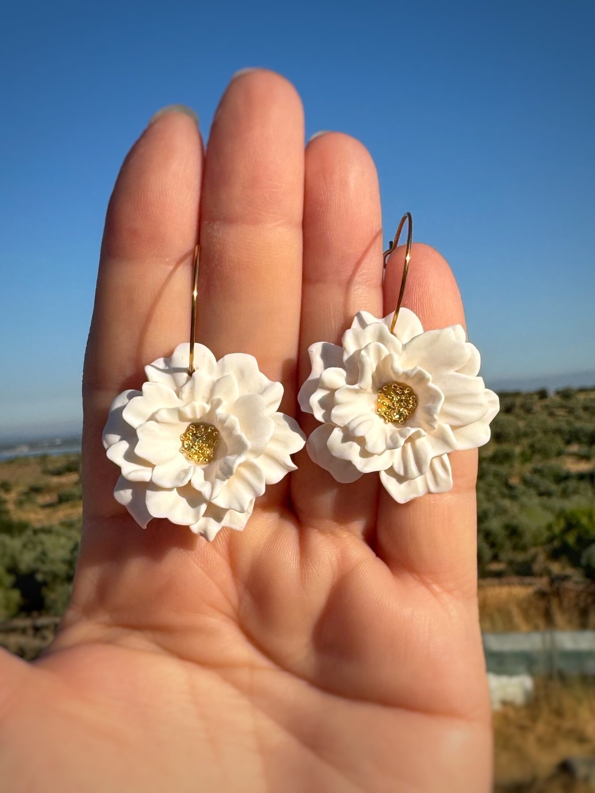 Pendientes Aliseda - 9