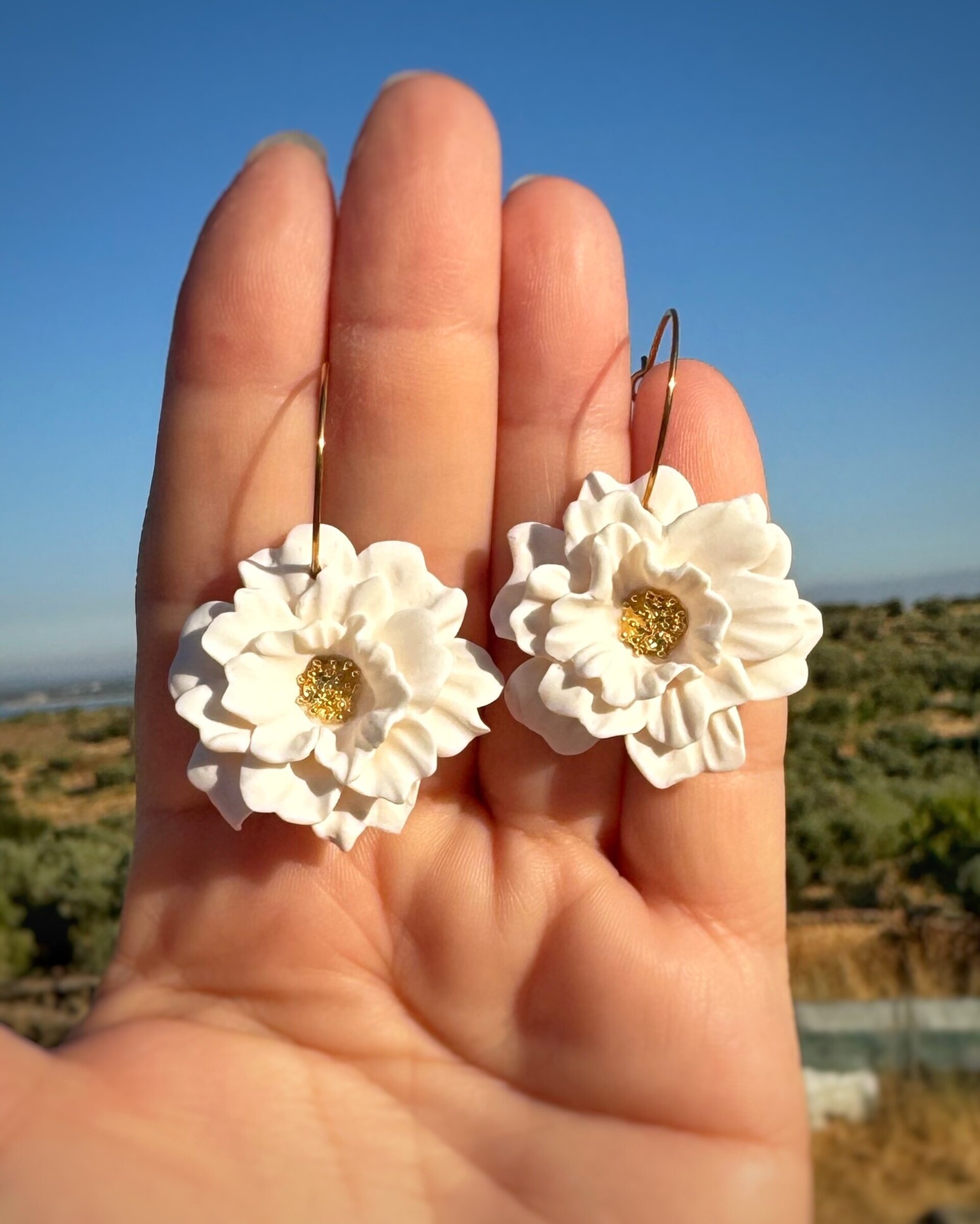 Pendientes Aliseda - 3