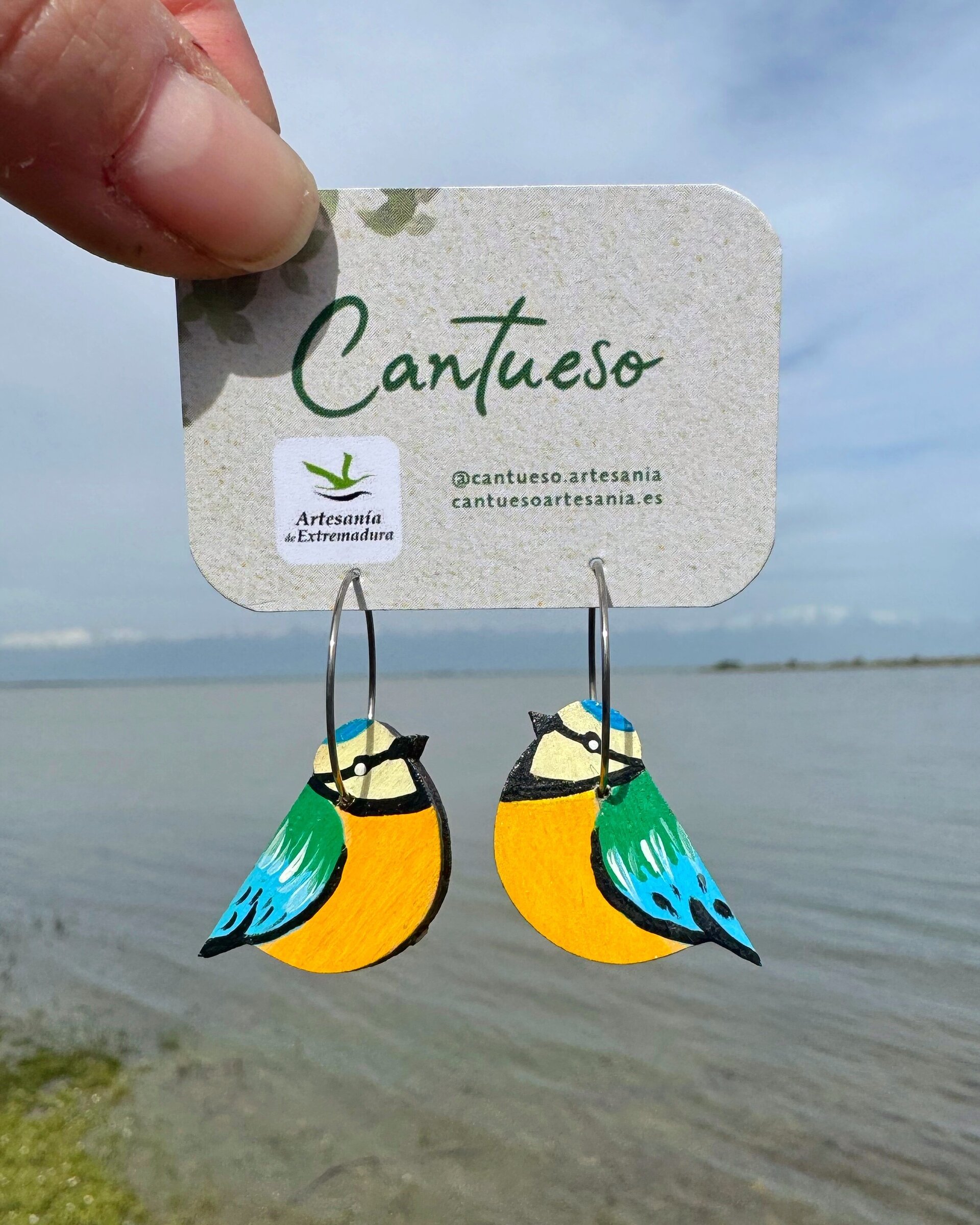 Pendientes Herrerillos - 1